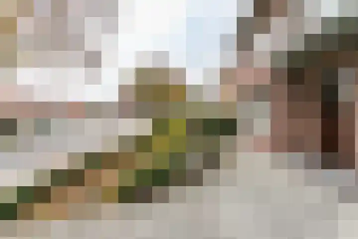 Kennedylaan 8 Brunssum thumbnail 32