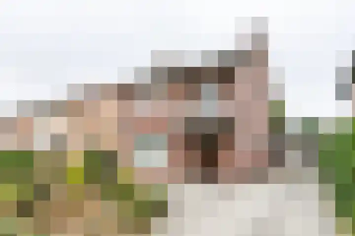 Kennedylaan 8 Brunssum thumbnail 34