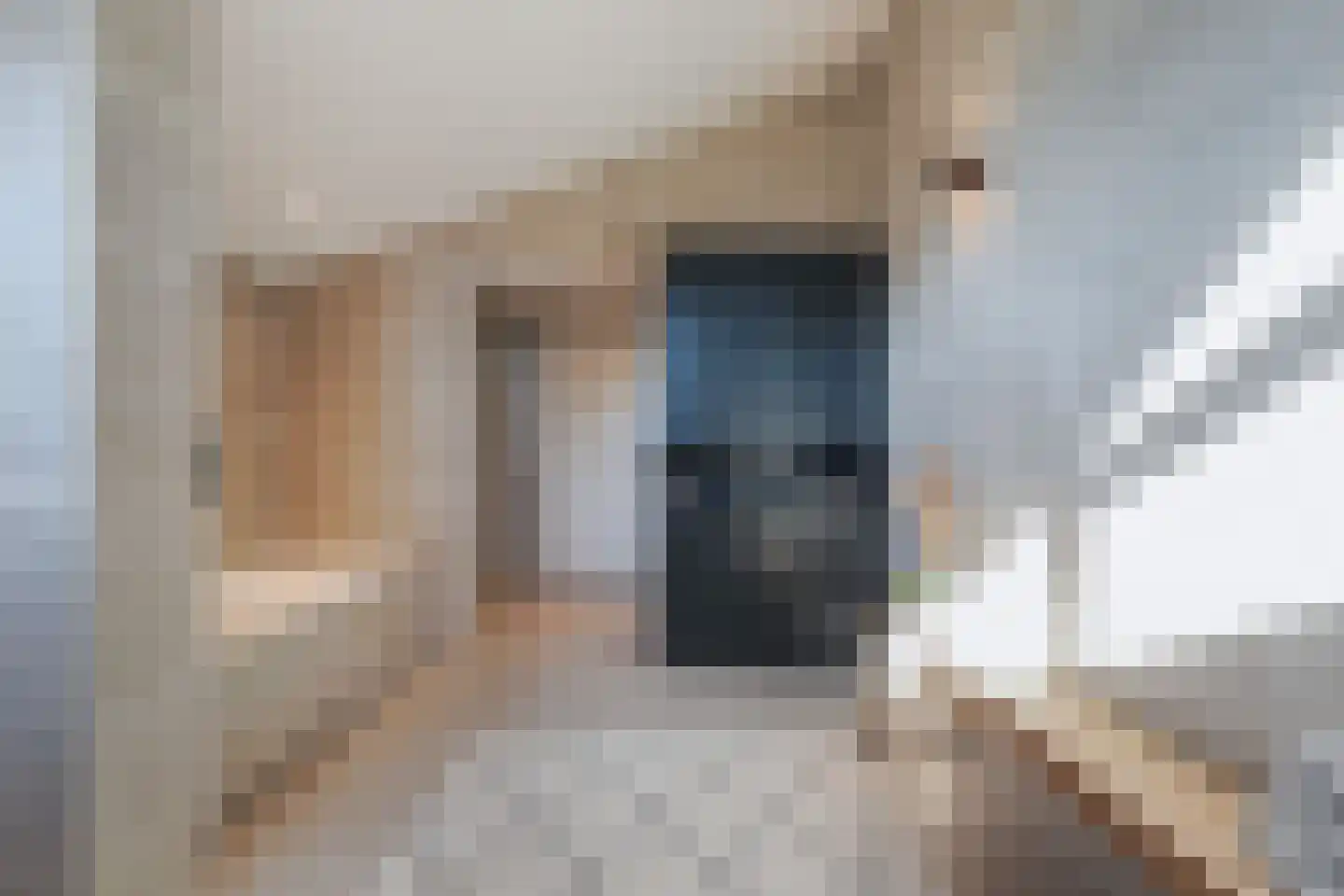 Kennedylaan 80 Goirle thumbnail 40