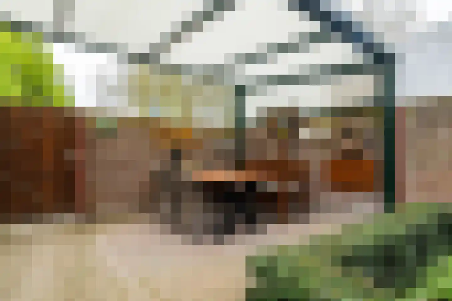 Kennedyplantsoen 35 Landgraaf thumbnail 20