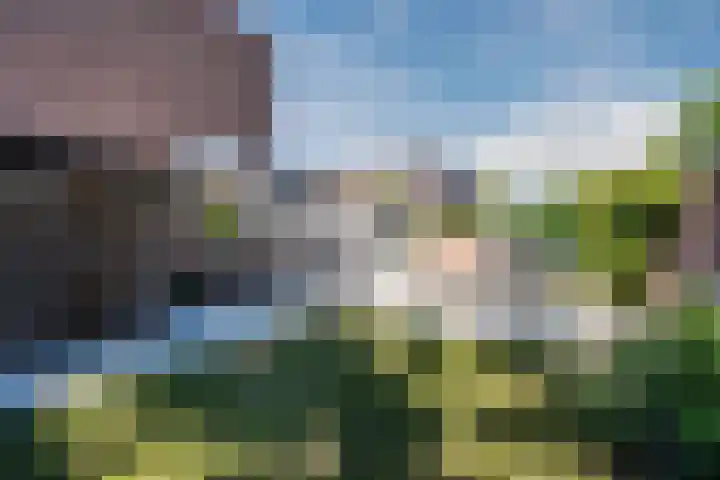 Kennedyplantsoen 61 Landgraaf thumbnail 32