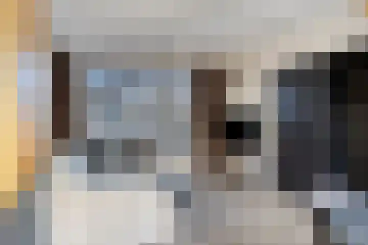 Kennedyplein 1 Reek thumbnail 14