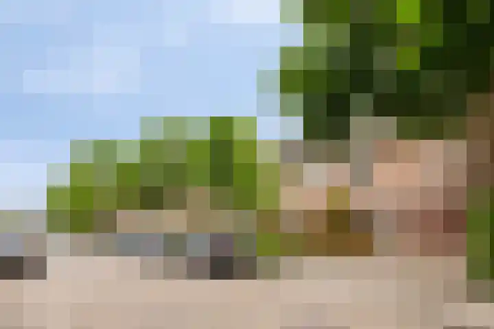 Kennedyplein 19 Reek thumbnail 32
