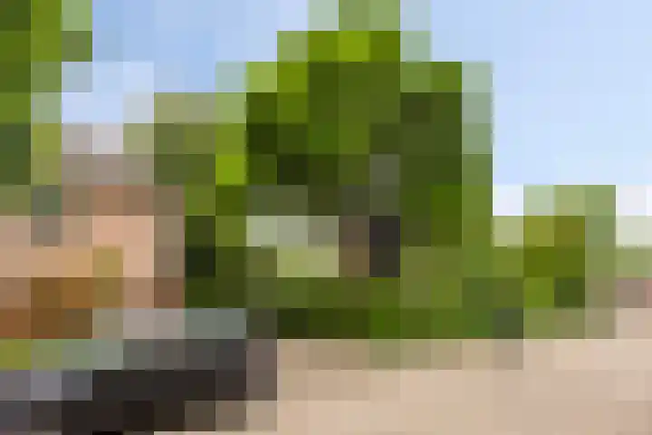 Kennedyplein 19 Reek thumbnail 34