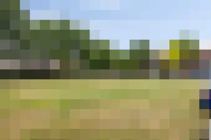 Kennedyplein 19 Reek thumbnail 35