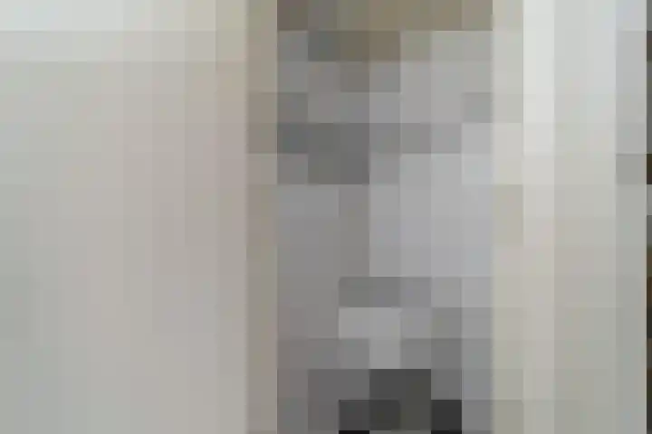 Kennedysingel 31 Winssen thumbnail 10