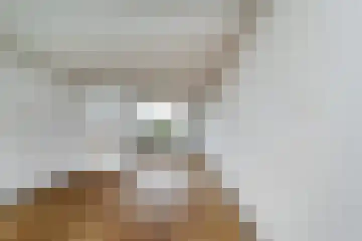 Kennedysingel 31 Winssen thumbnail 12