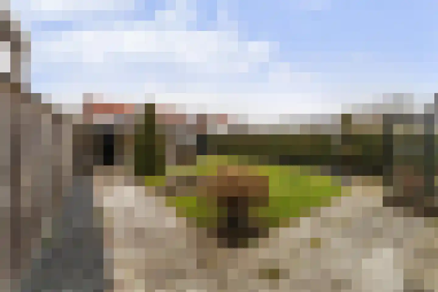 Kennedysingel 31 Winssen thumbnail 13