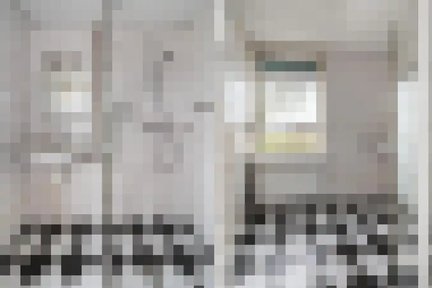 Kennedysingel 31 Winssen thumbnail 4