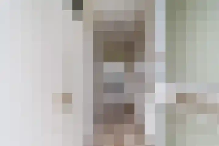 Kennedysingel 31 Winssen thumbnail 8
