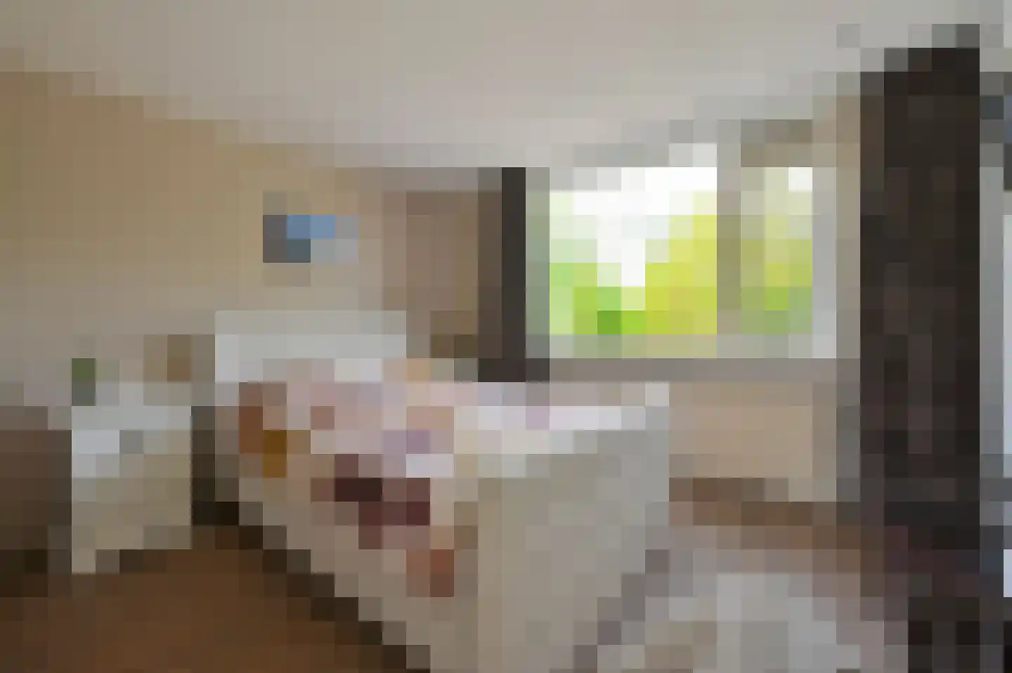 Kennedysingel 48 Reeuwijk thumbnail 17