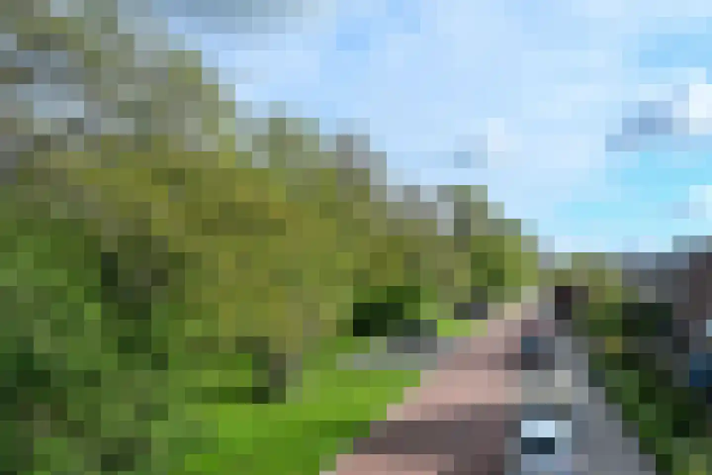 Kennedysingel 48 Reeuwijk thumbnail 28