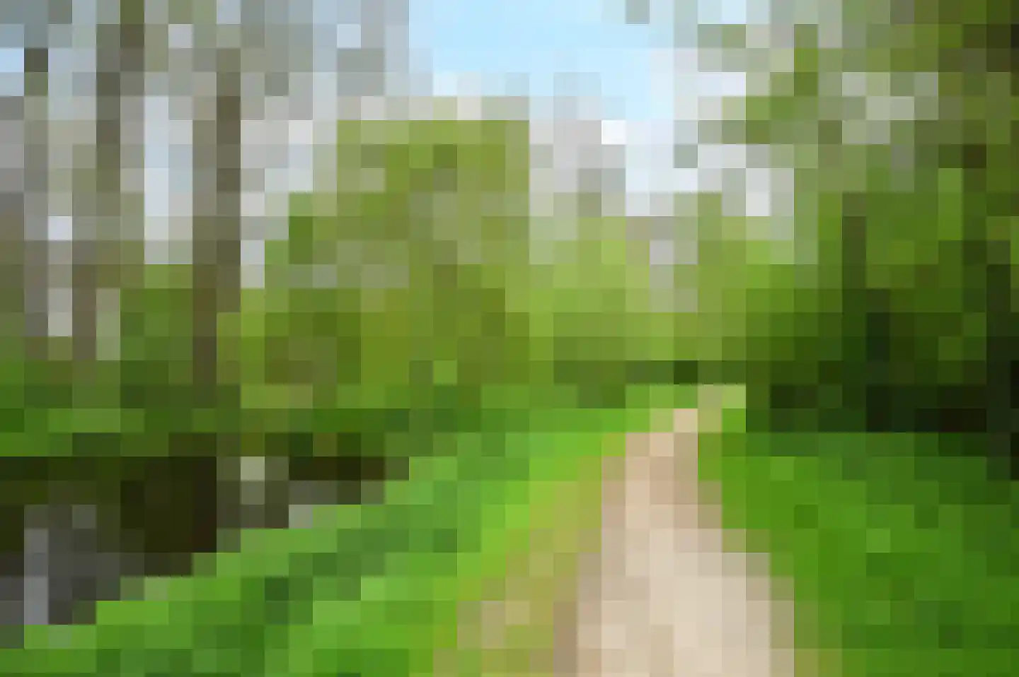 Kennedysingel 48 Reeuwijk thumbnail 30