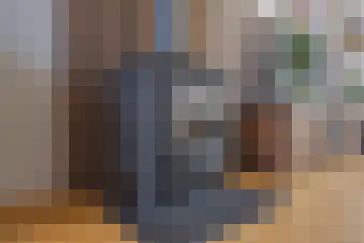 Kennedysingel 53 Winssen thumbnail 13