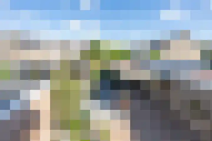 Kennedysingel 53 Winssen thumbnail 26