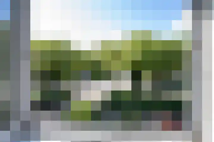 Kennedysingel 53 Winssen thumbnail 33