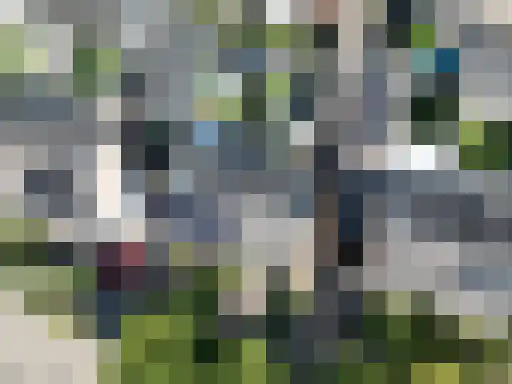 Kennedysingel 53 Winssen thumbnail 38