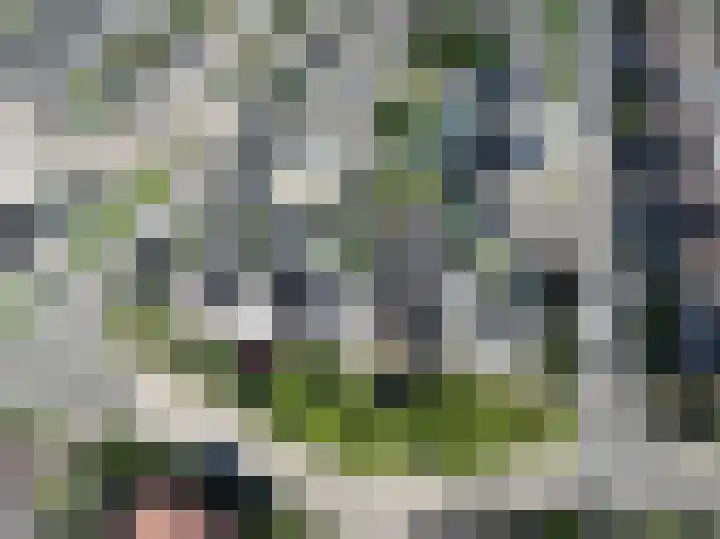 Kennedysingel 53 Winssen thumbnail 39
