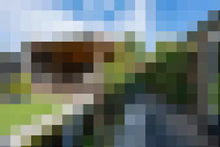 Kennedysingel 53 Winssen thumbnail 4
