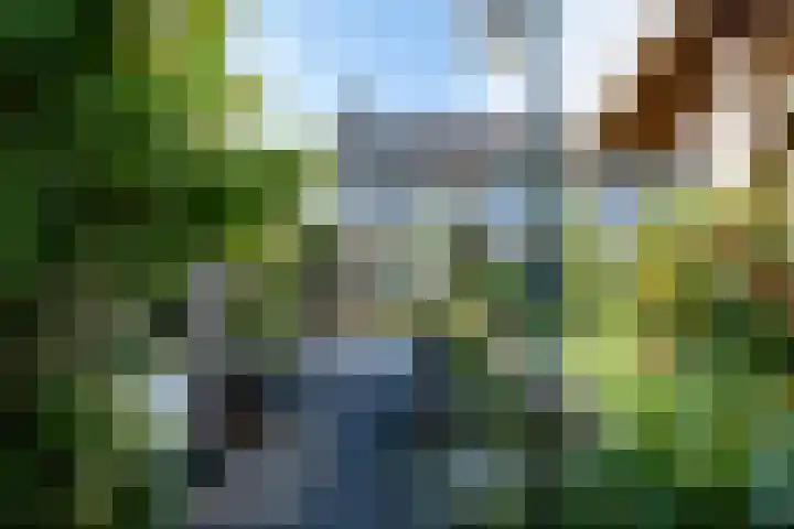 Kennedysingel 53 Winssen thumbnail 40