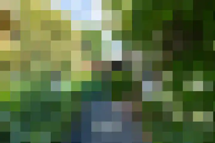 Kennedysingel 53 Winssen thumbnail 42