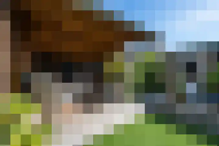 Kennedysingel 53 Winssen thumbnail 43