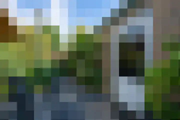 Kennedysingel 53 Winssen thumbnail 44