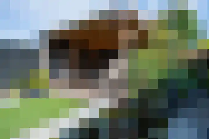 Kennedysingel 53 Winssen thumbnail 45