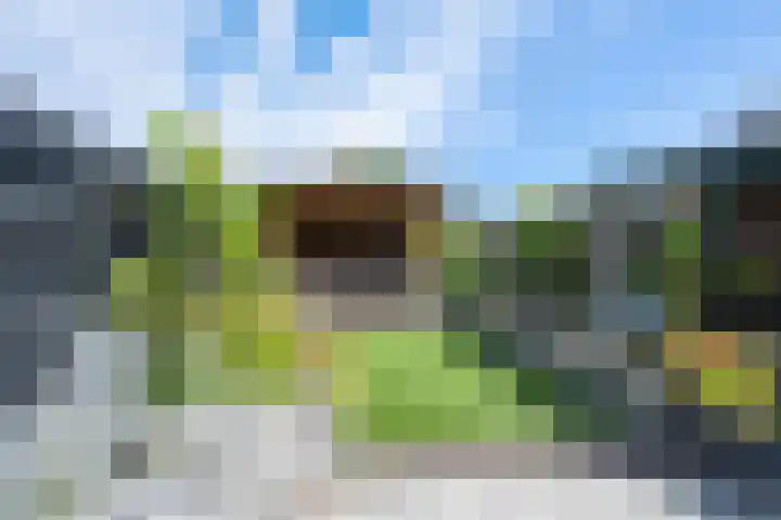 Kennedysingel 53 Winssen thumbnail 50