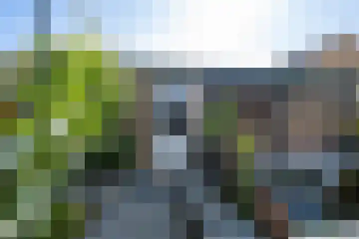 Kennedysingel 53 Winssen thumbnail 56