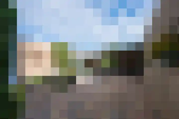 Kennedysingel 53 Winssen thumbnail 59