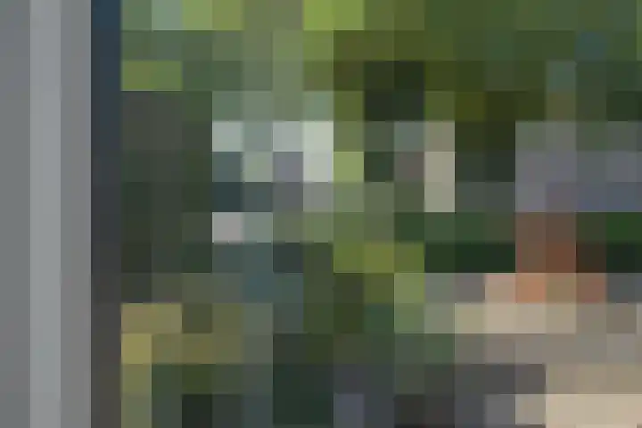 Kennedysingel 53 Winssen thumbnail 6