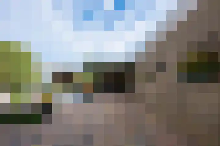 Kennedysingel 53 Winssen thumbnail 61
