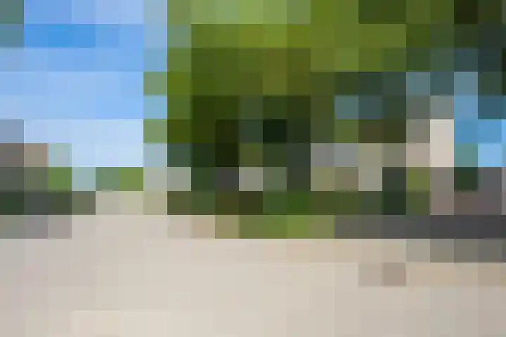 Kennedysingel 53 Winssen thumbnail 64