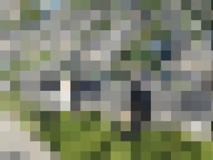 Kennedysingel 53 Winssen thumbnail 65