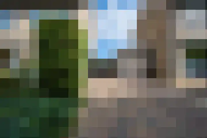 Kennedysingel 53 Winssen thumbnail 67