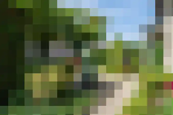 Kennedysingel 53 Winssen thumbnail 68