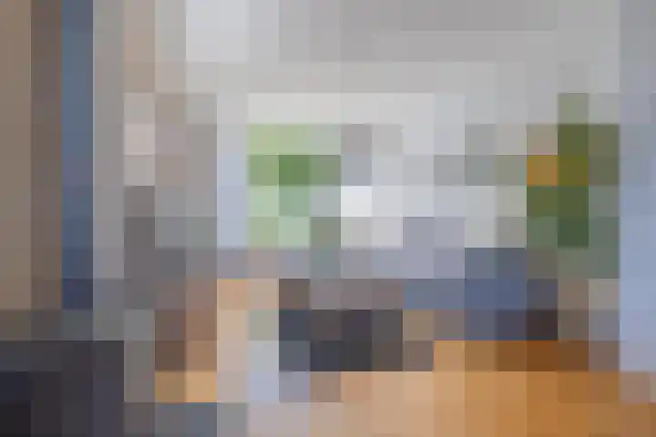 Kennedysingel 53 Winssen thumbnail 7