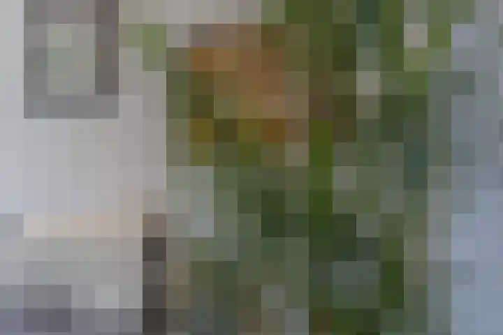 Kennedysingel 53 Winssen thumbnail 8