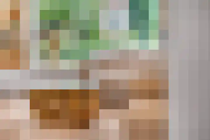 Kennedysingel 55 Winssen thumbnail 11