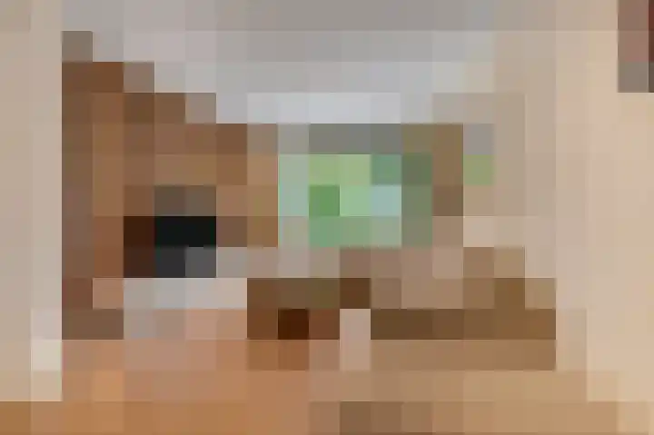 Kennedysingel 55 Winssen thumbnail 12