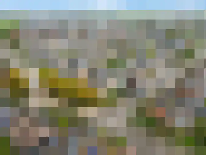 Kennedysingel 55 Winssen thumbnail 40