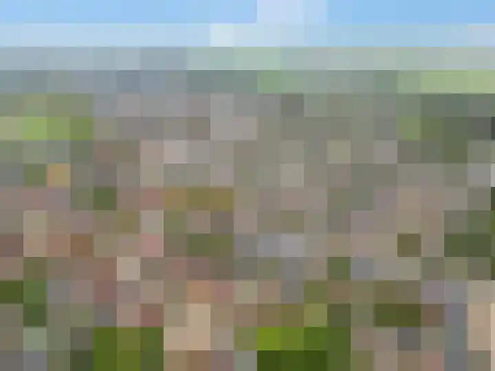 Kennedysingel 55 Winssen thumbnail 41