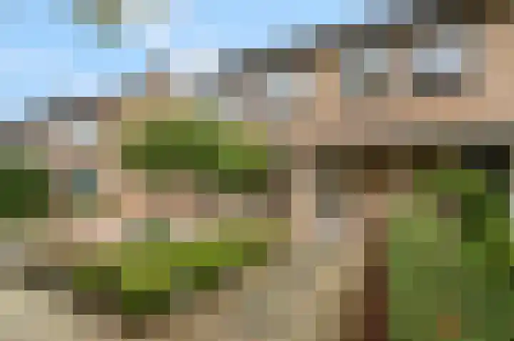 Kennedysingel 55 Winssen thumbnail 42