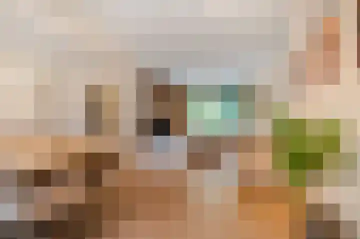 Kennedysingel 55 Winssen thumbnail 6