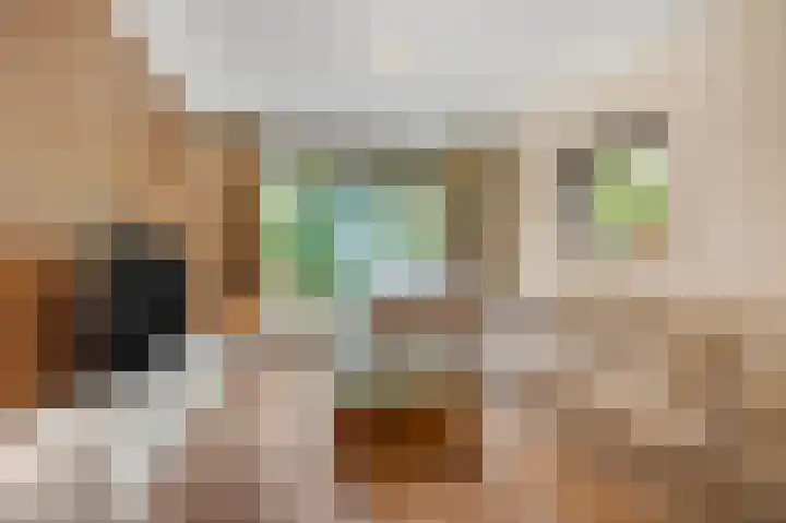 Kennedysingel 55 Winssen thumbnail 7