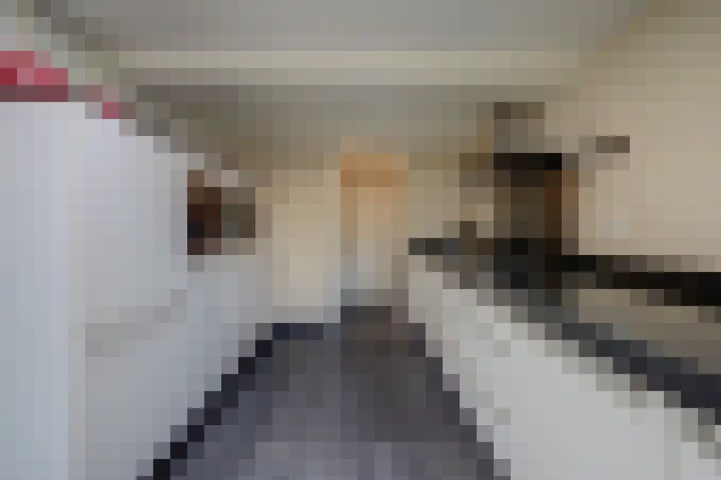Kennedysingel 6 Winssen thumbnail 10