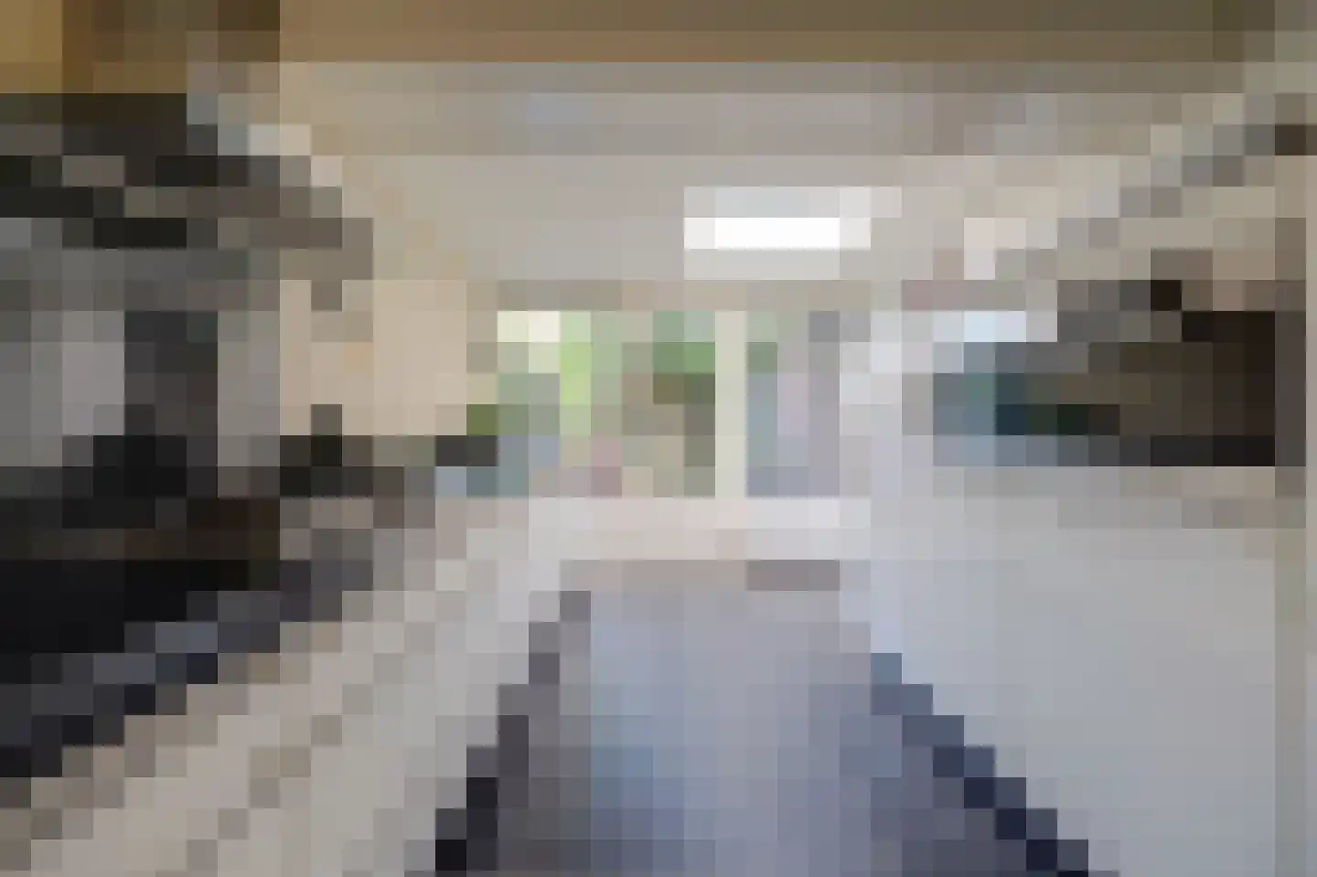 Kennedysingel 6 Winssen thumbnail 11
