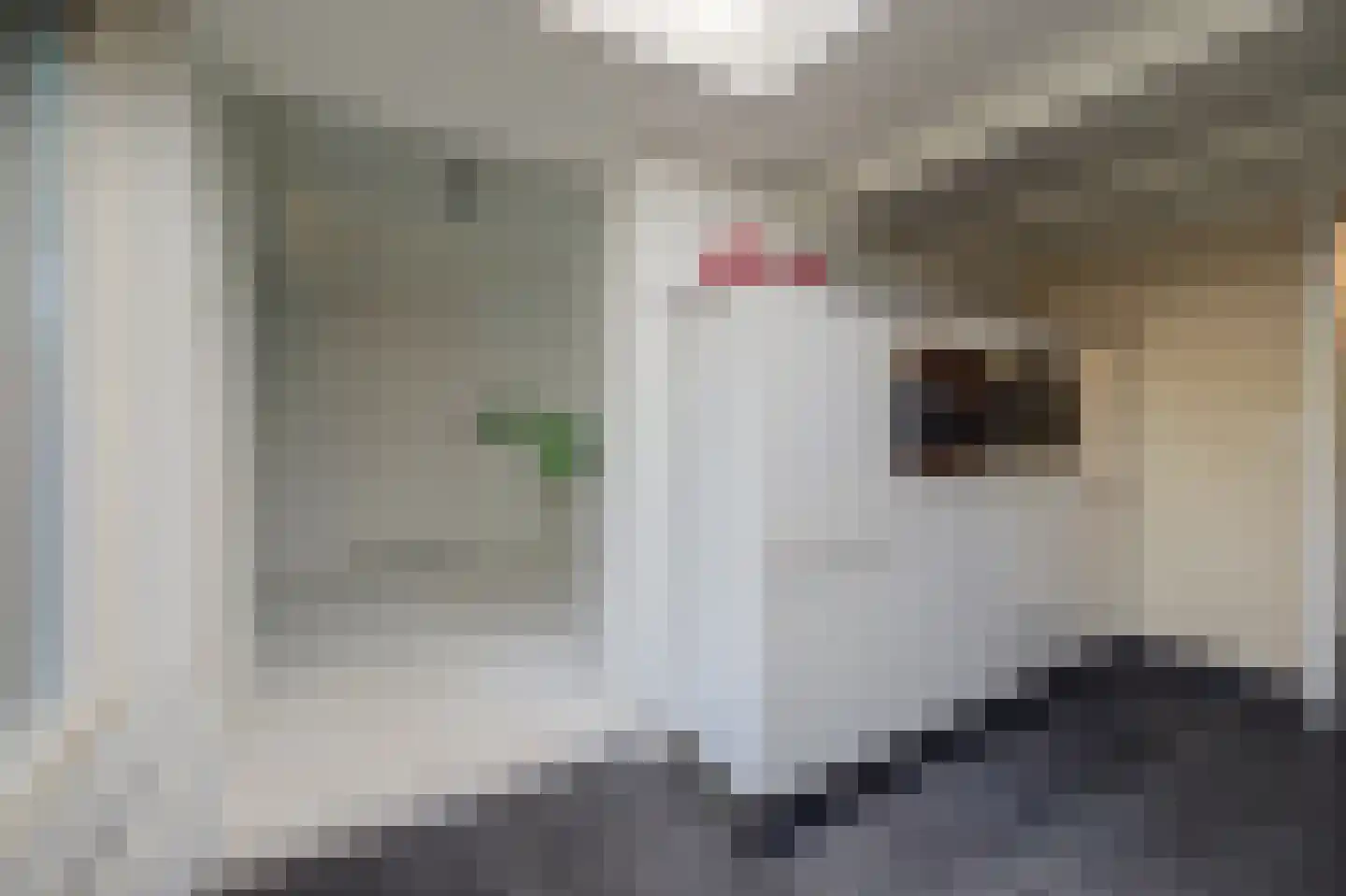 Kennedysingel 6 Winssen thumbnail 12