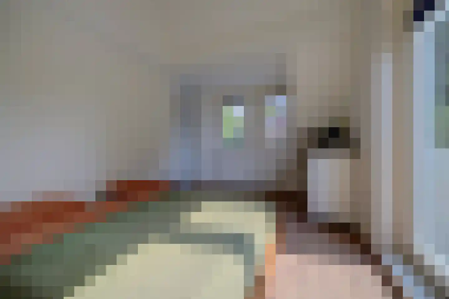 Kennedysingel 6 Winssen thumbnail 20